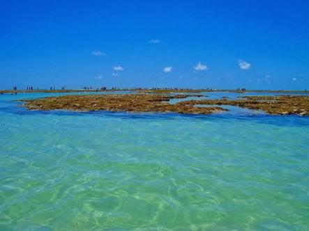 Palm Village - O Melhor De Cupe E Porto Pôrto das Galinhas المظهر الخارجي الصورة