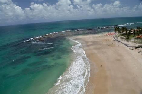 Palm Village - O Melhor De Cupe E Porto Pôrto das Galinhas المظهر الخارجي الصورة